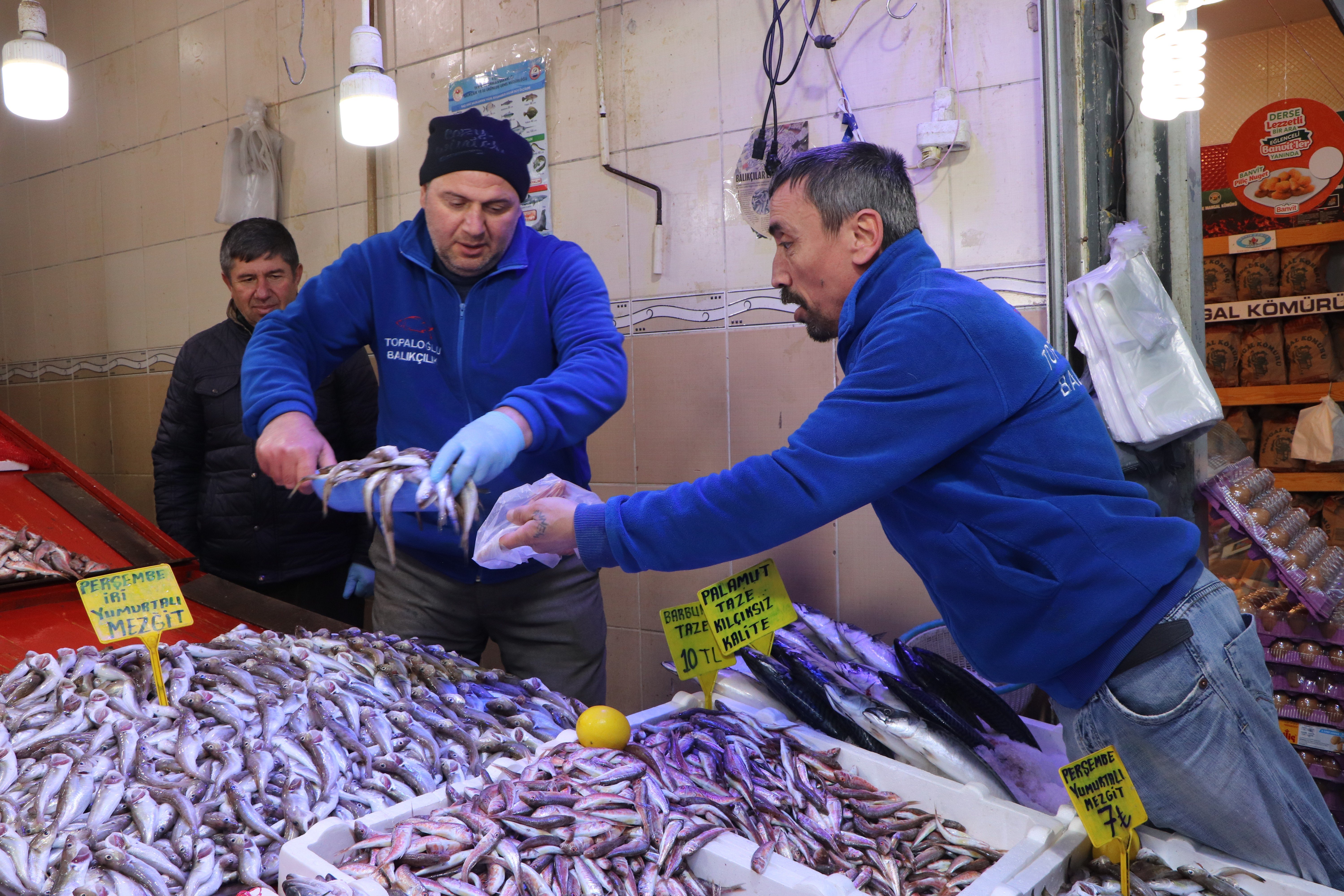 Karadeniz hamsisi 7 lira Karadeniz hamsisi 7 lira