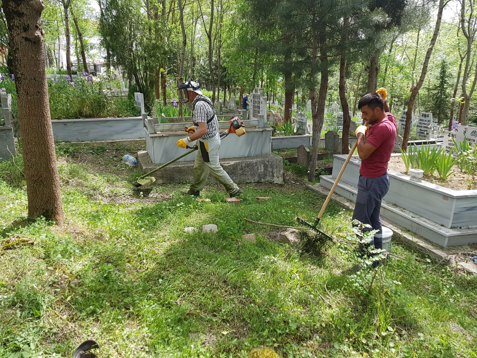KAVAK'TA MEZARLIKLAR PIRIL PIRIL KAVAK'TA MEZARLIKLAR PIRIL PIRIL