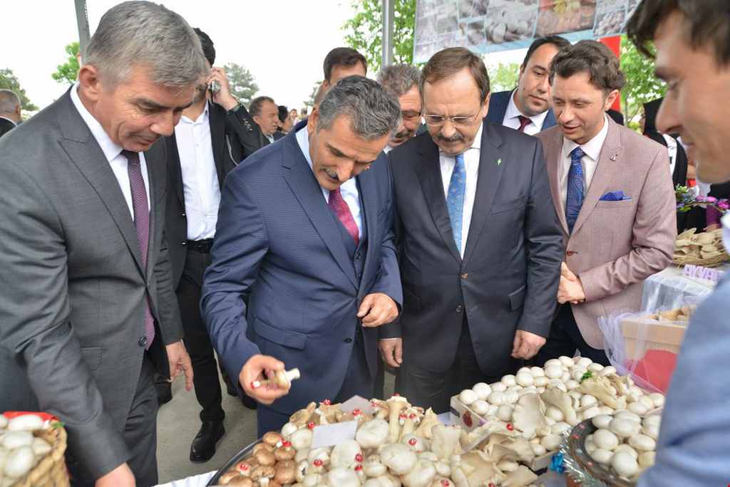 Sevgi Park’ta Mantar Şenliği