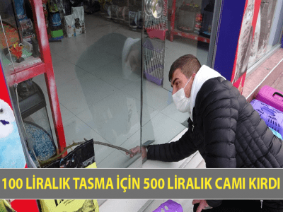 100 LİRALIK TASMA İÇİN 500 LİRALIK CAMI KIRDI