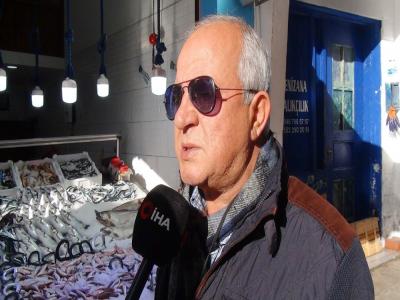 Hamsi gitti meydan istavrit ve mezgite kaldı