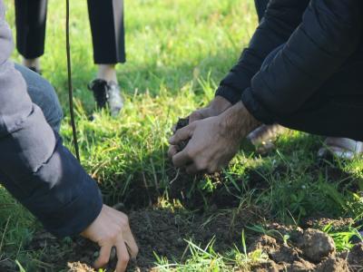 OMÜ öğrencilerinden gaziler anısına hatıra ormanı