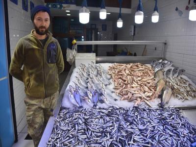 Hamsinin fiyatı tekrar yükselişte
