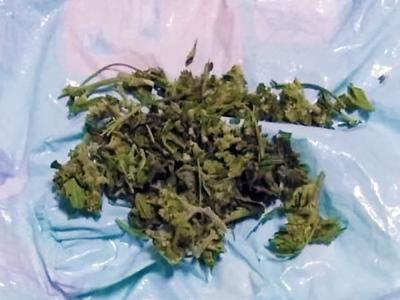 Sinop’ta kubar esrar ele geçirildi: 4 gözaltı

