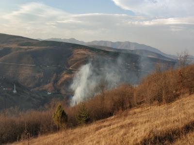 Samsun’da ormanda örtü yangını
