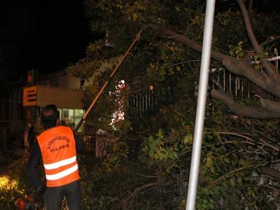 Samsun’da okul girişinde ağaç devrildi
