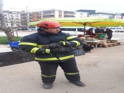Motora sıkışan kediyi itfaiye kurtardı