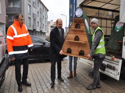 Terme’de kedilere sıcak yuva
