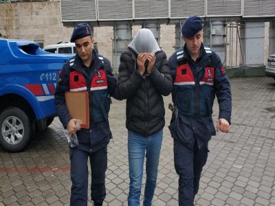 Kamyonda bonzai ile yakalandı
