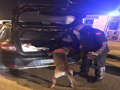 Ordu’da jandarma 221 aranan şahsı yakaladı
