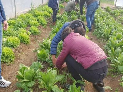 Bafra Dedeli Tarım Meslek Lisesinde döner sermaye işletmesi kuruldu
