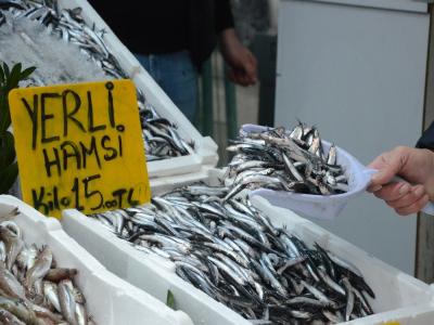 Gürcistan hamsisi tezgahları süslüyor
