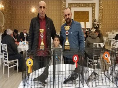Güvercin güzellik yarışması 