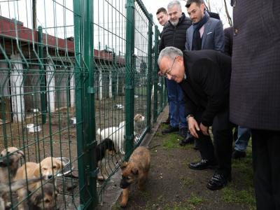 Ünye’ye Büyükşehir damgası
