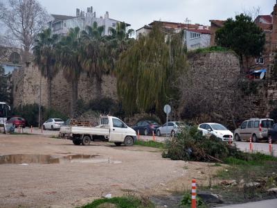 Sinop’ta ağaç bakım çalışmaları sürüyor

