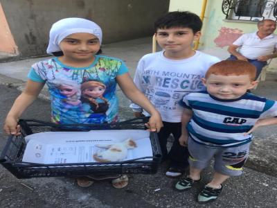 Başkan Demirtaş’tan sokak hayvanları için çağrı
