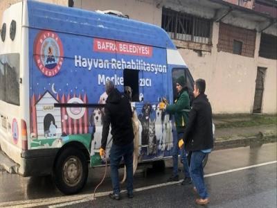 Yaramaz köpek kurtarıldı