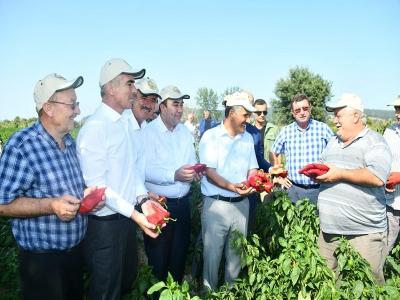 Samsun çiftçisine 303 milyon TL destek