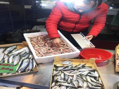 3 ilde 1,5 ton balığa el koyuldu
