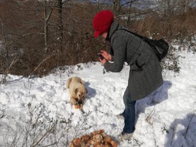 Bafra’da sokak köpekleri unutulmadı
