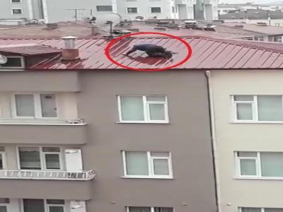 Çatıda yürekleri ağza getiren an
