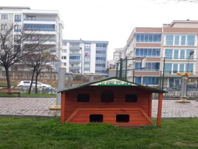Atakum’da can dostlar aç kalmayacak
