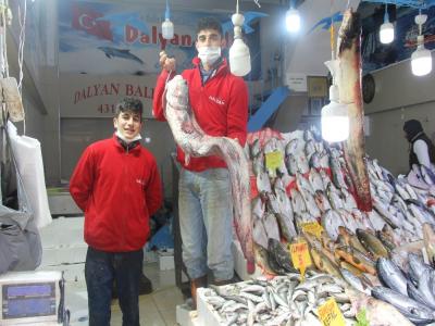 65 kilogramlık yayın balığı yakaladı
