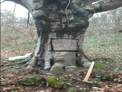Korona virüse karşı aldığı önlemle gülümsetti
