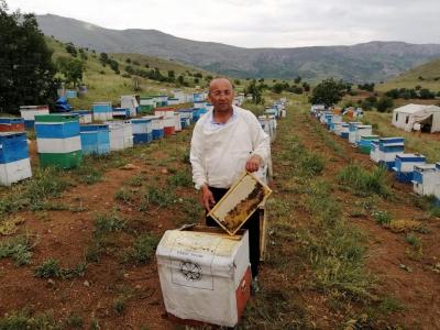 Dünya bal tüketiminde Türkiye’ye yönelebilir
