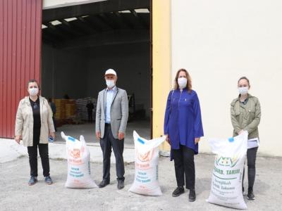 Yüzde 75 hibeli çeltik tohumu dağıtımı
