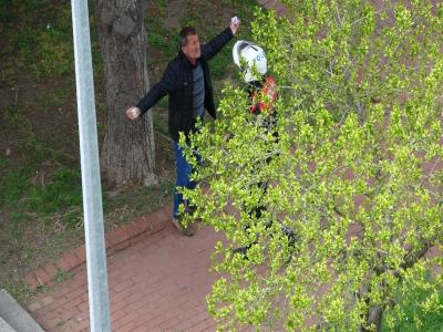 Yoldan geçenlere saldırdı
