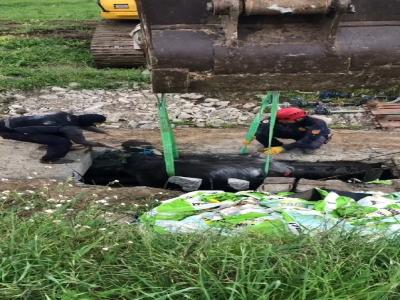 İtfaiyeden manda kurtarma operasyonu
