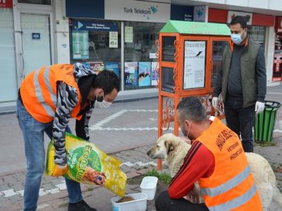 Havza’da denetimlere devam
