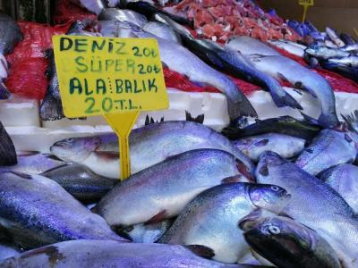 Sıcaklık arttı, balığa ilgi azaldı
