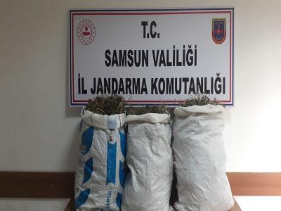 105 bin kök kenevire 4 tutuklama
