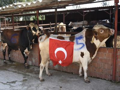 Tekkeköy’de her şehit için bir kurban kesilecek
