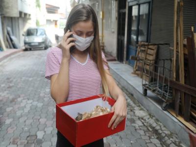 Yavru kedinin yardımına İlkadım Belediyesi koştu
