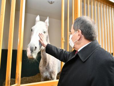 Karadeniz’in en büyük binicilik tesisi yenilenecek
