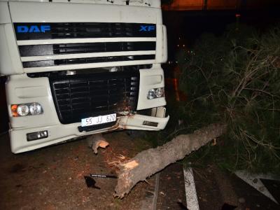 Samsun’da tır ağaca çarptı: 1 yaralı
