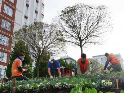 Atakum’da parklara kış bakımı
