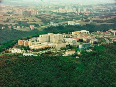 OMÜ’lü akademisyenler “Dünyanın en etkili bilim insanları” listesinde
