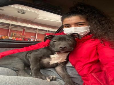 Sokakta bulduğu hasta köpeği ölümden kurtardı
