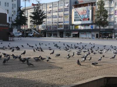 Samsun sokakları sessizliğe büründü
