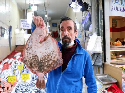 Hamsinin fiyatı 25 TL’den 15 TL’ye düştü
