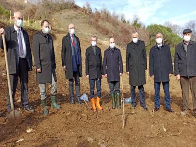 Vali Dağlı Bafra’da incelemelerde bulundu
