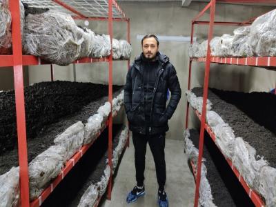 Üniversiteden mezun oldu, mantar üretimine başladı
