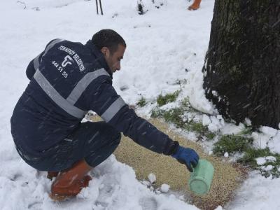 Tekkeköy’de topyekun kar mücadelesi
