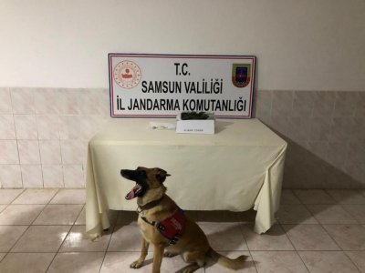 Bafra’da kubar esrar ele geçirildi
