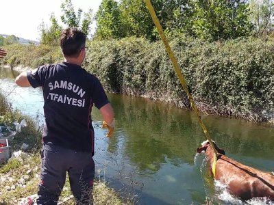 BAK ŞU İNEĞE