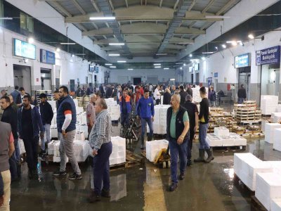 BALIK MEZADINA İLGİ BÜYÜK